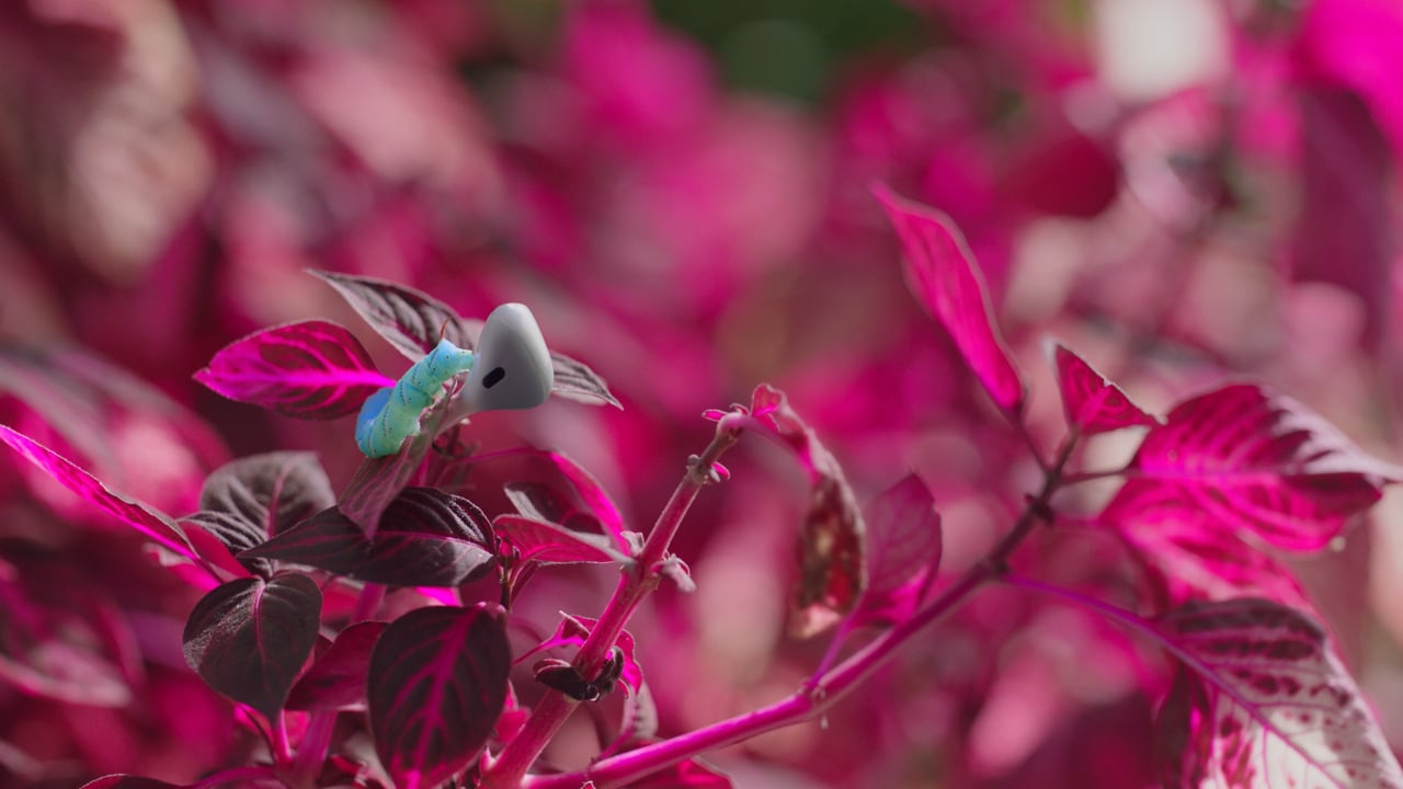 Animation — character still from The Sound Gardener